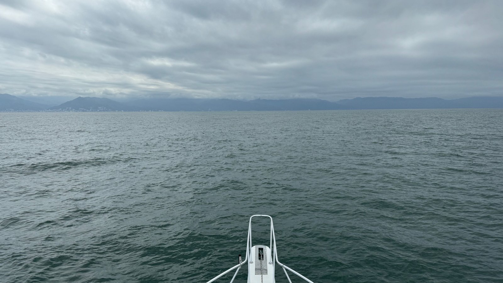 How to Plan a Custom Puerto Vallarta Boat Charter: Fishing, Snorkeling, Beach Days & Whale Watching
